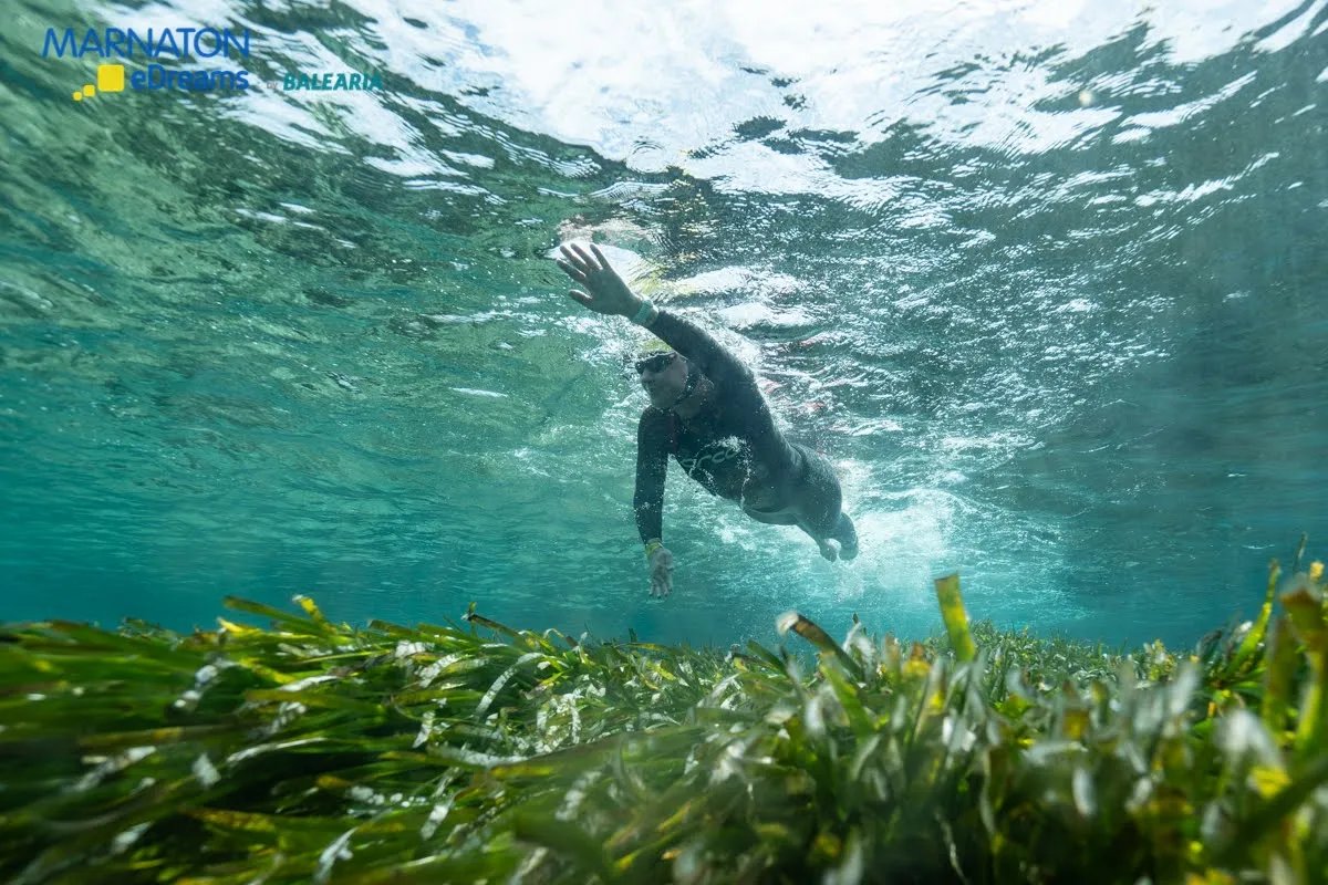 A Marnaton swimmer above a seagrass meadow