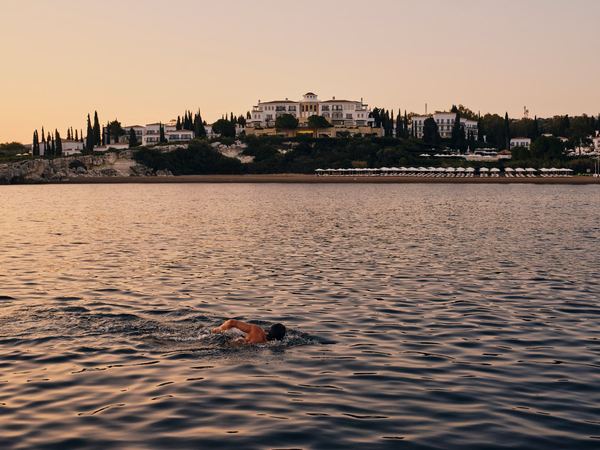 Anassa